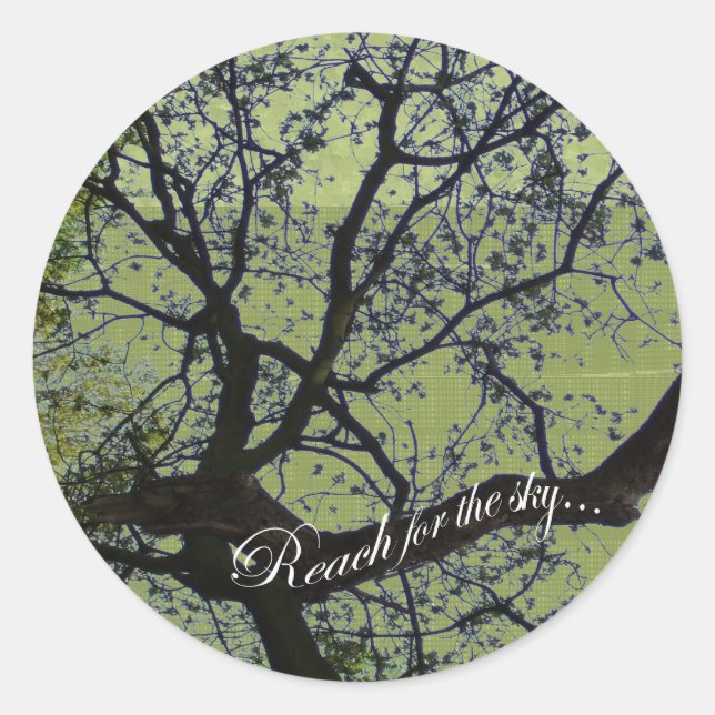 Reach for the Sky Sticker (Front)