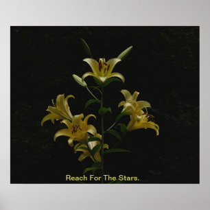 Reach For The Stars Poster