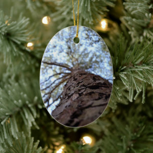 Reach High by Shirley Taylor Ceramic Tree Decoration