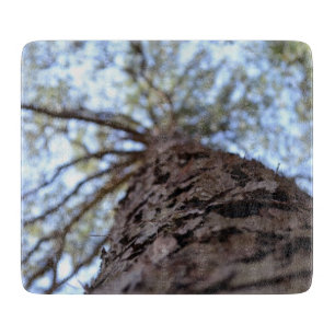 Reach High by Shirley Taylor Cutting Board