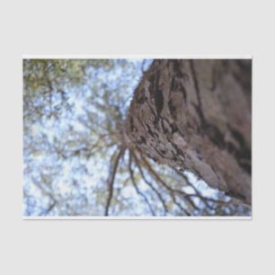 Reach High by Shirley Taylor Tissue Paper