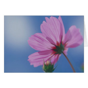 Reaching for the Sun