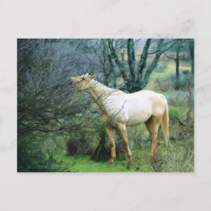 Reaching high for dinner postcard