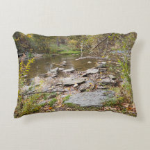 Reaching Out Across the Creek