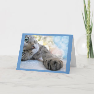 Reaching Out Cute Cat, Kitten Pet Card