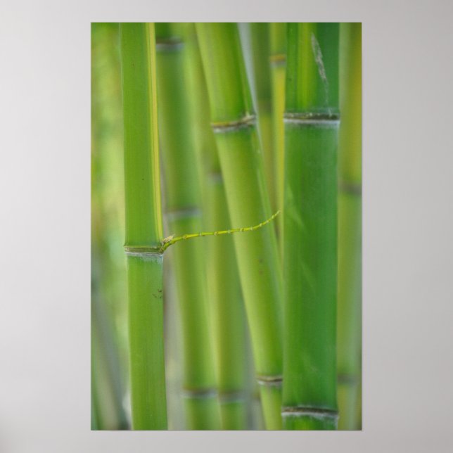 Reaching Out Poster (Front)