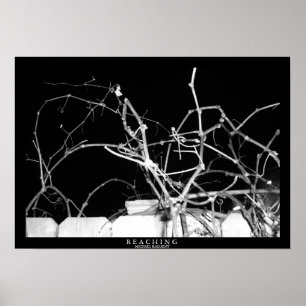 Reaching Poster