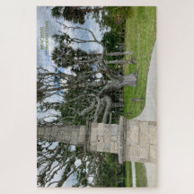 Reaching Through Time - Quiet Ember Puzzles 