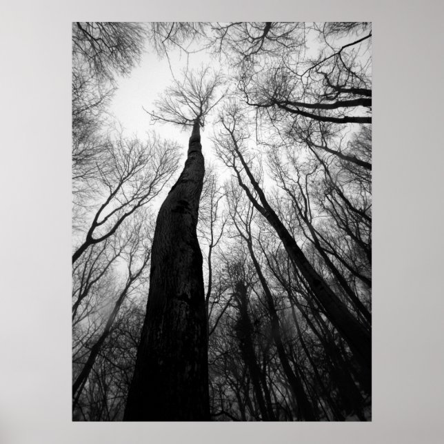 Reaching Up Poster (Front)