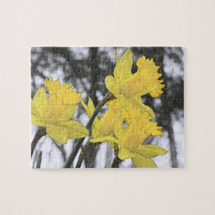 Reaching Upwards - Yellow Daffodils Jigsaw Puzzle