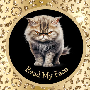 Read My Face Or Your Text Angry Tabby Cat Mug