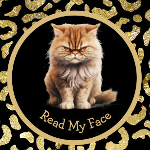 Read My Face Or Your Text Funny Angry Cat Mug