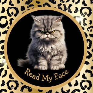 Read My Face Or Your Text Funny Tabby Cat Mug