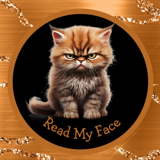 Read My Face Or Your Text Orange Tabby Cat Mug (Creator Uploaded)