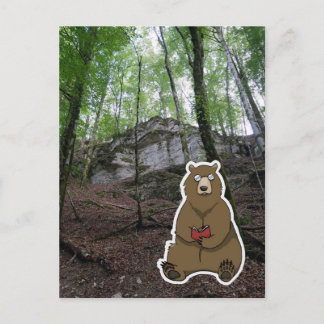 Reader Bear (color) Postcard