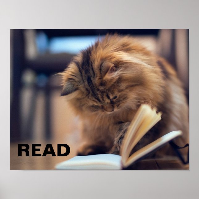 Reading Poster to Support Literacy in Children (Front)