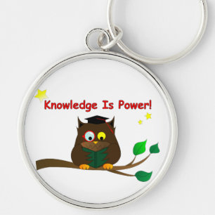Reading Wise Owl Key Ring