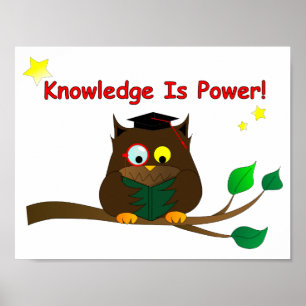 Reading Wise Owl Poster