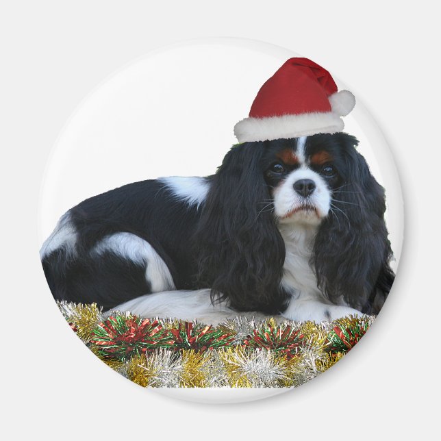 Ready For Christmas Magnet (Front)