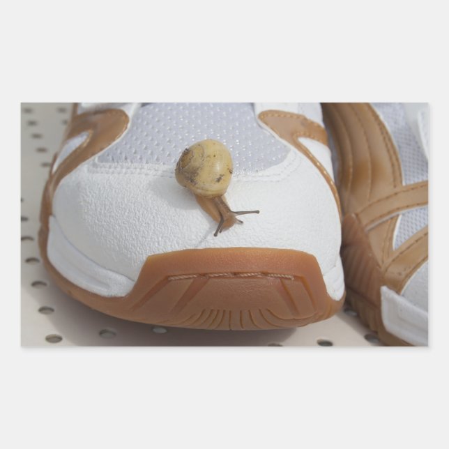 Ready For Snail Racing Rectangular Sticker (Front)