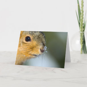 Ready for Spring Card