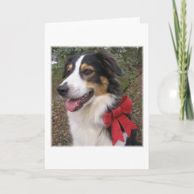 "Ready for the Holidays!" Holiday Card (Front)