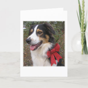 "Ready for the Holidays!" Holiday Card