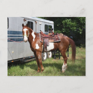 "Ready for the ride" Postcard