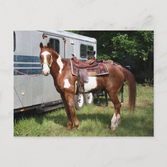 "Ready for the ride" Postcard (Front)