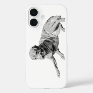 Ready Paws, Gentle Gaze iPhone 16 Case