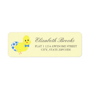 Ready To Hatch Chicky Boy Baby Shower Return Address Label