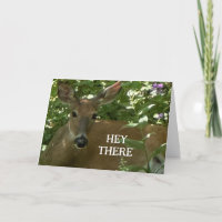 READY TO HEAR THAT U HAD A VERY HAPPY BIRTHDAY