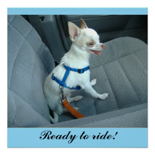 Ready to Ride Glossy Poster