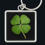 Real 4 Leaf Clover Shamrock Black Key Ring<br><div class="desc">Real four leaf clover shamrock black key chain.  Background colour can be customised.</div>