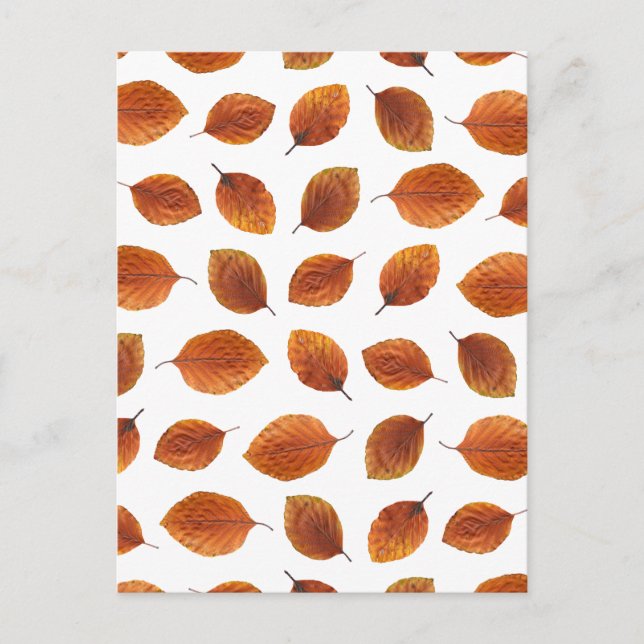 Real Autumn Leaves Pattern Postcard (Front)