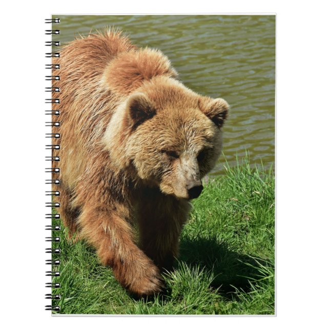 Real Bear Gifts,Grizzly Bear,Grizzly Bear Journal  (Front)