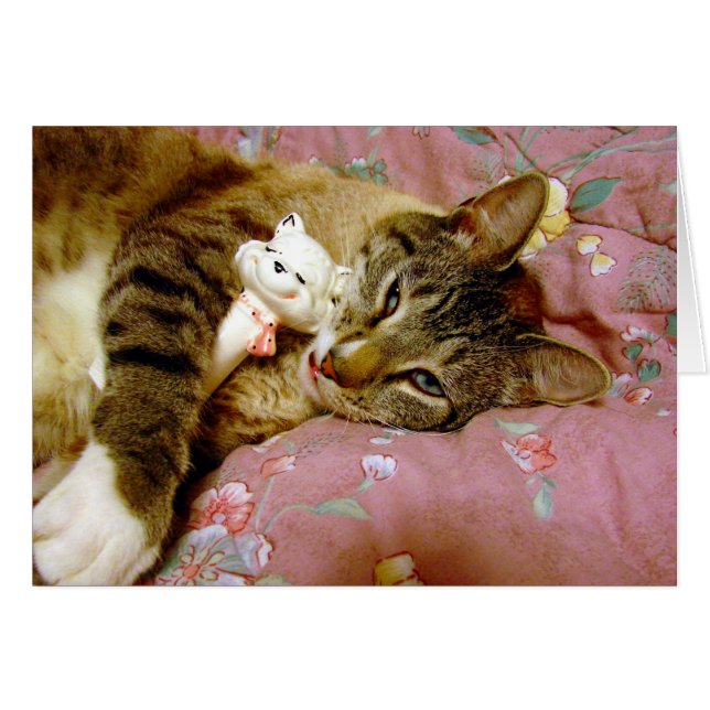 Real Cat, Fake Cat (Front Horizontal)