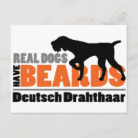Real Dogs Have Beards - Deutsch Drahthaar