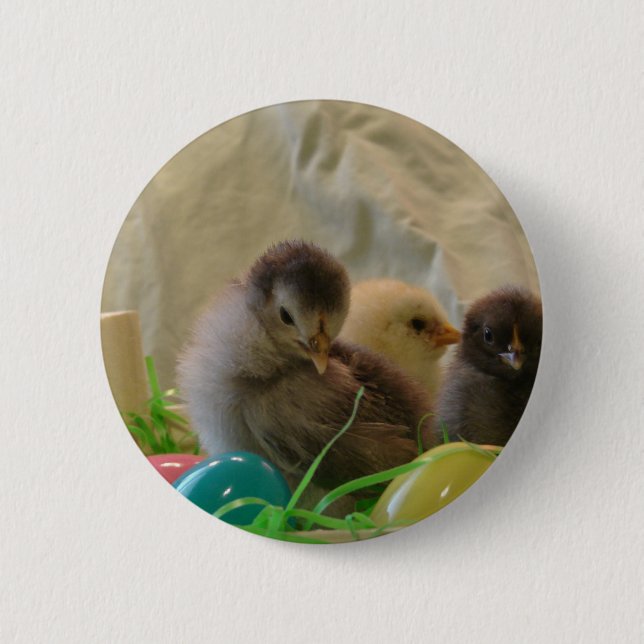 Real Easter Chicks 6 Cm Round Badge (Front)