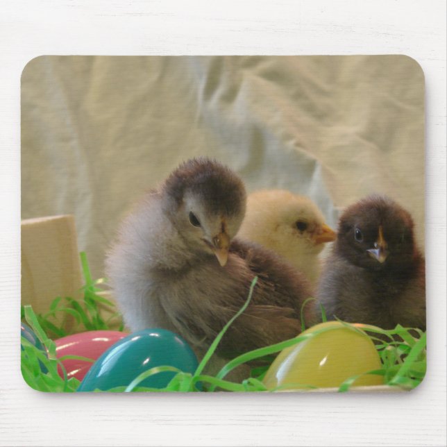 Real Easter Chicks Mouse Pad (Front)