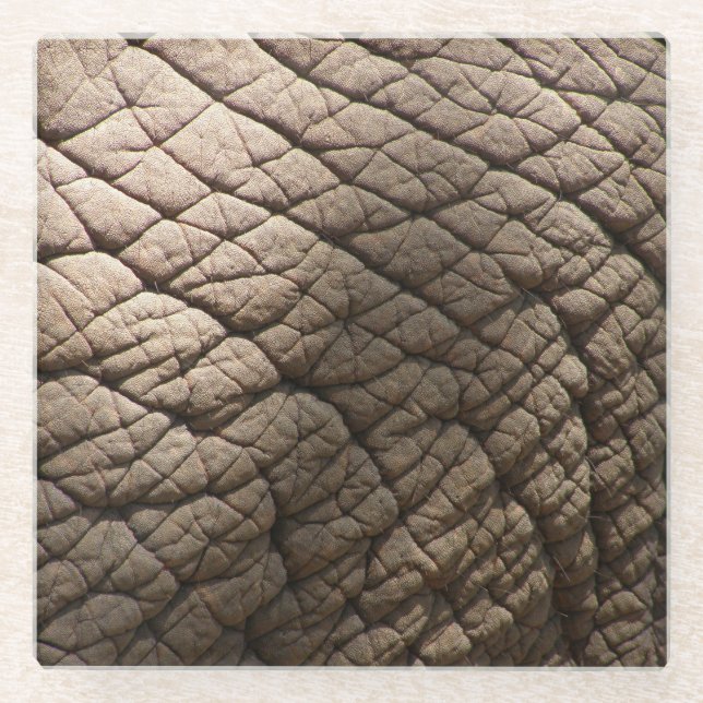 Real Elephant Skin Texture, Wrinkled. Glass Coaster (Front)