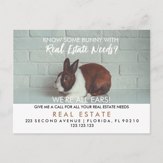 real estate easter bunny referrals Announcement  Postcard (Front)