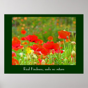 Real Kindness seeks no return Poppy Flowers prints