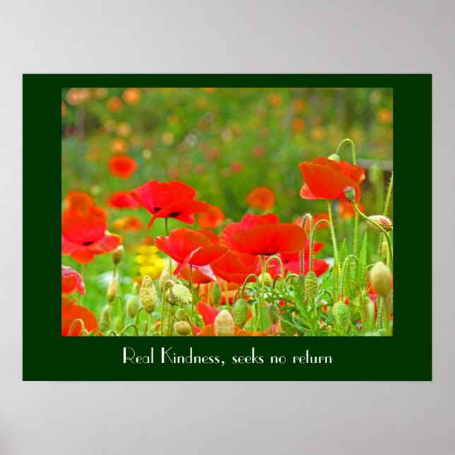 Real Kindness seeks no return Poppy Flowers prints (Front)