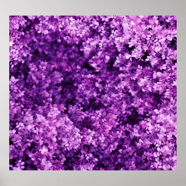 Real knitted fabric, textured background. poster (Front)