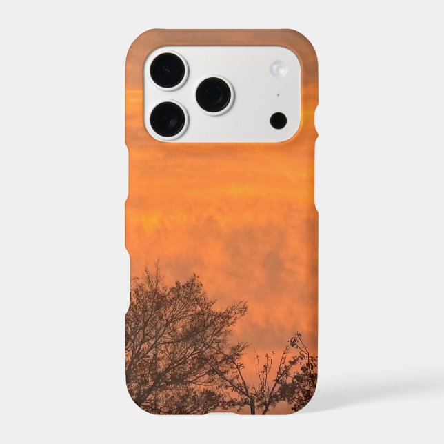 Real Las Vegas Fiery Orange Sunset  (Back)