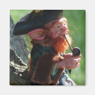 real leprechaun magnet