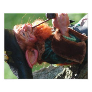 real leprechaun photo print