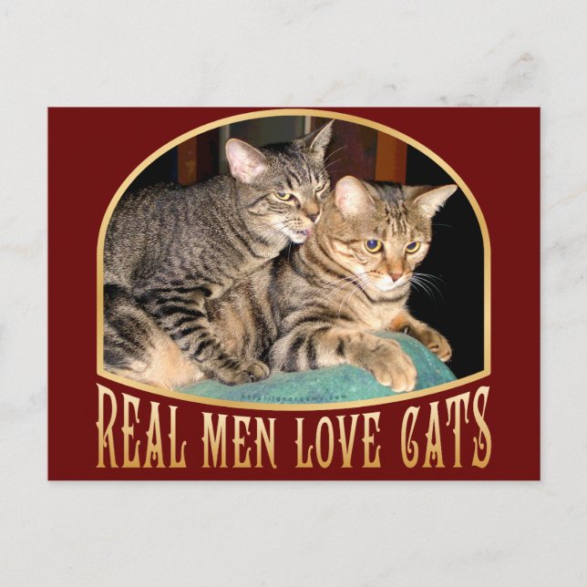 Real Men Love Cats Postcard (Front)