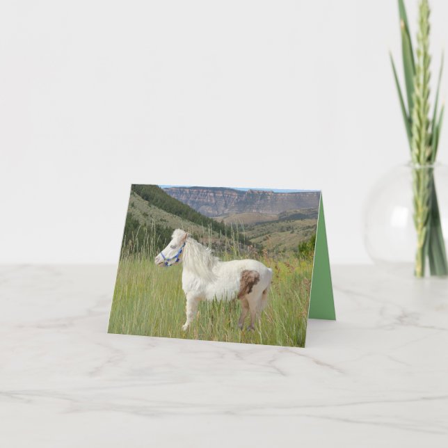 Real Miniature Horse in mountains birthday other Card (Front)